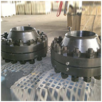 Orifice Flanges Assembly