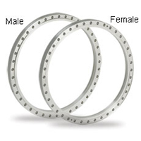 Wire seal flanges
