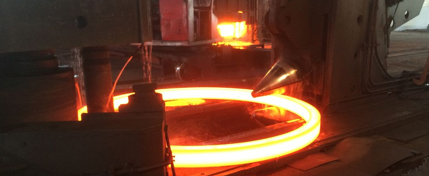 Stainless Steel Forgings and Rolled Rings manufacturer in India